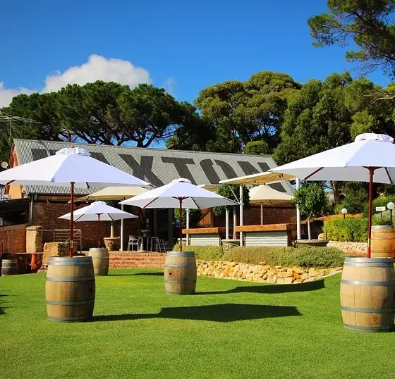 Wine barrels with umbrellas on grass.